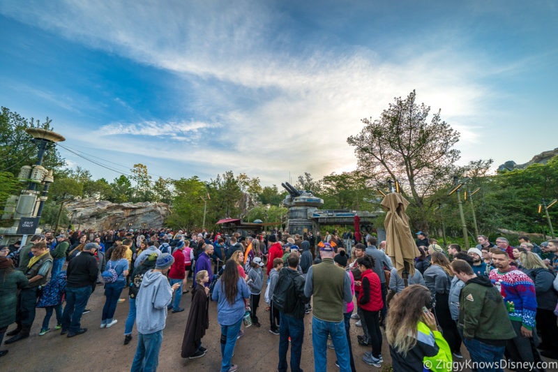 park capacity in Disney World 