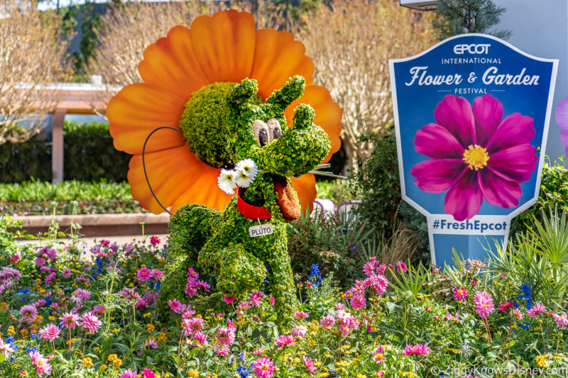 February vs March at Disney World