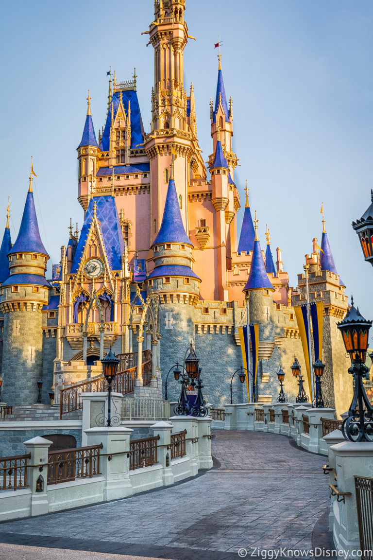 Disney World in January 2021 Crowds, Weather & Events