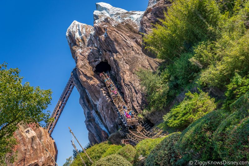 train coming down the hill on Expedition Everest