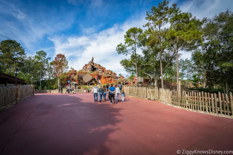 Early Theme Park Entry Disney World