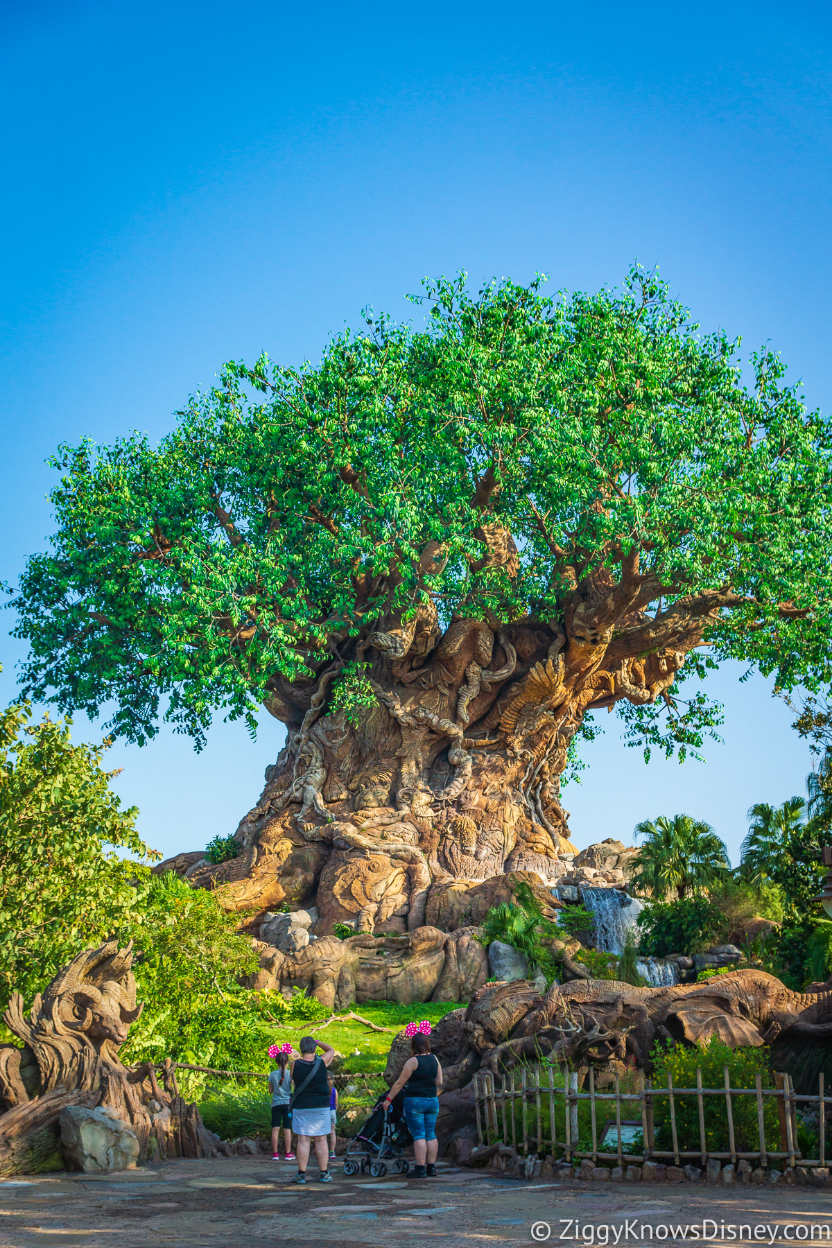 Tree of Life Animal Kingdom