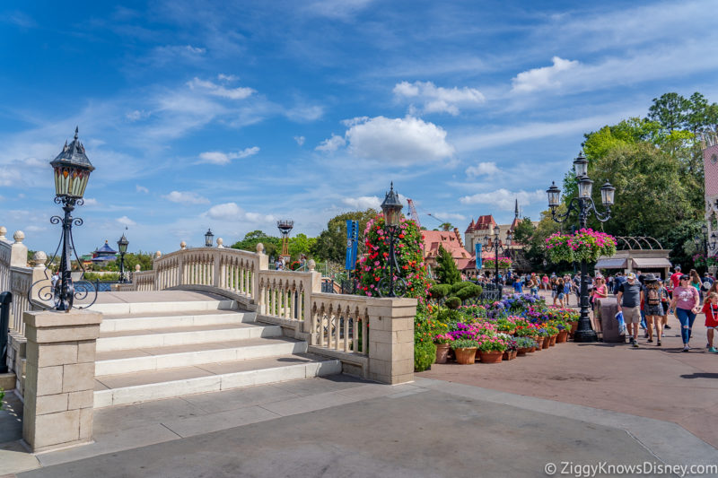 Flowers at Disney World