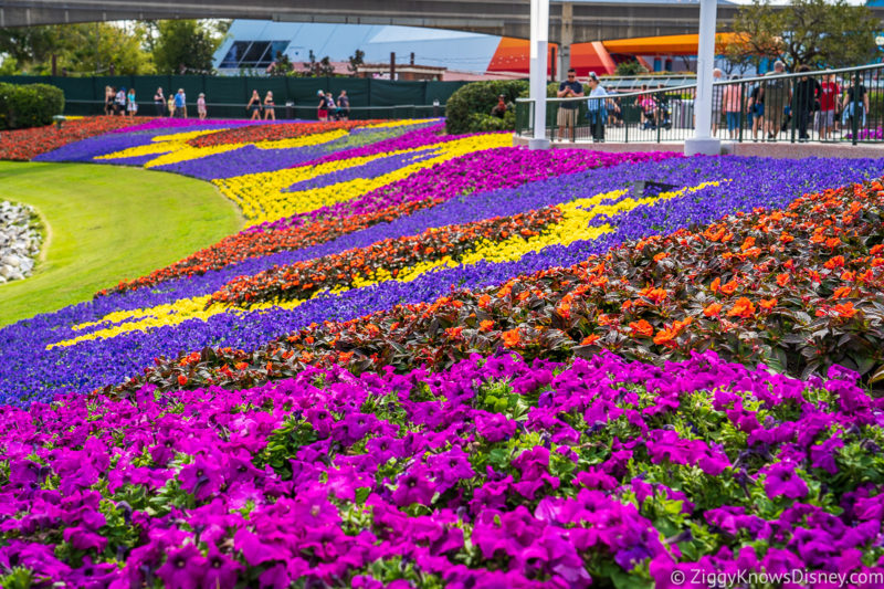 March at Walt Disney World