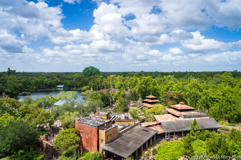 Weather at Disney World in March