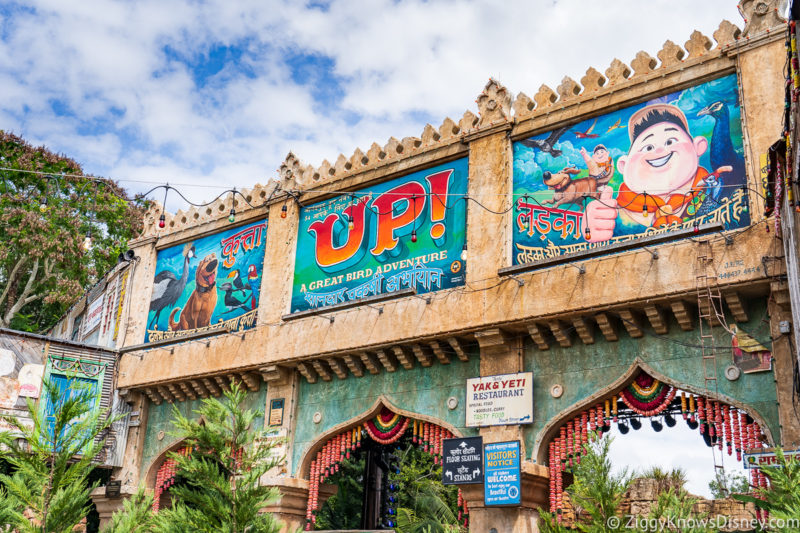 UP! a Great Bird Adventure Animal Kingdom Attractions