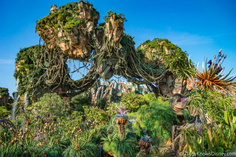 Disney's Animal Kingdom Attractions