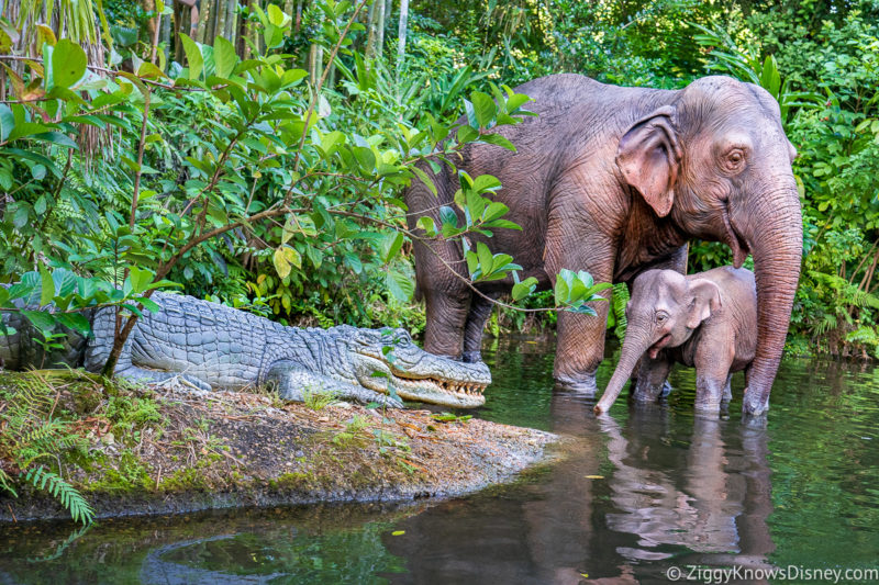 Jungle Cruise Ride Magic Kingdom elephant scene