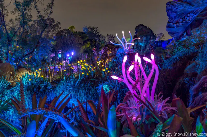 Pandora the World of Avatar at night