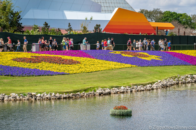 Disney World Weather in May