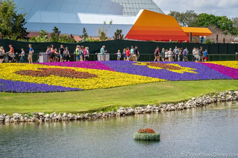 Disney World Weather in May