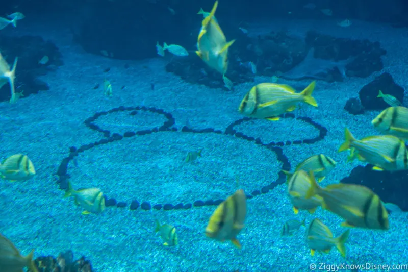 Hidden Mickey at The Seas pavilion EPCOT