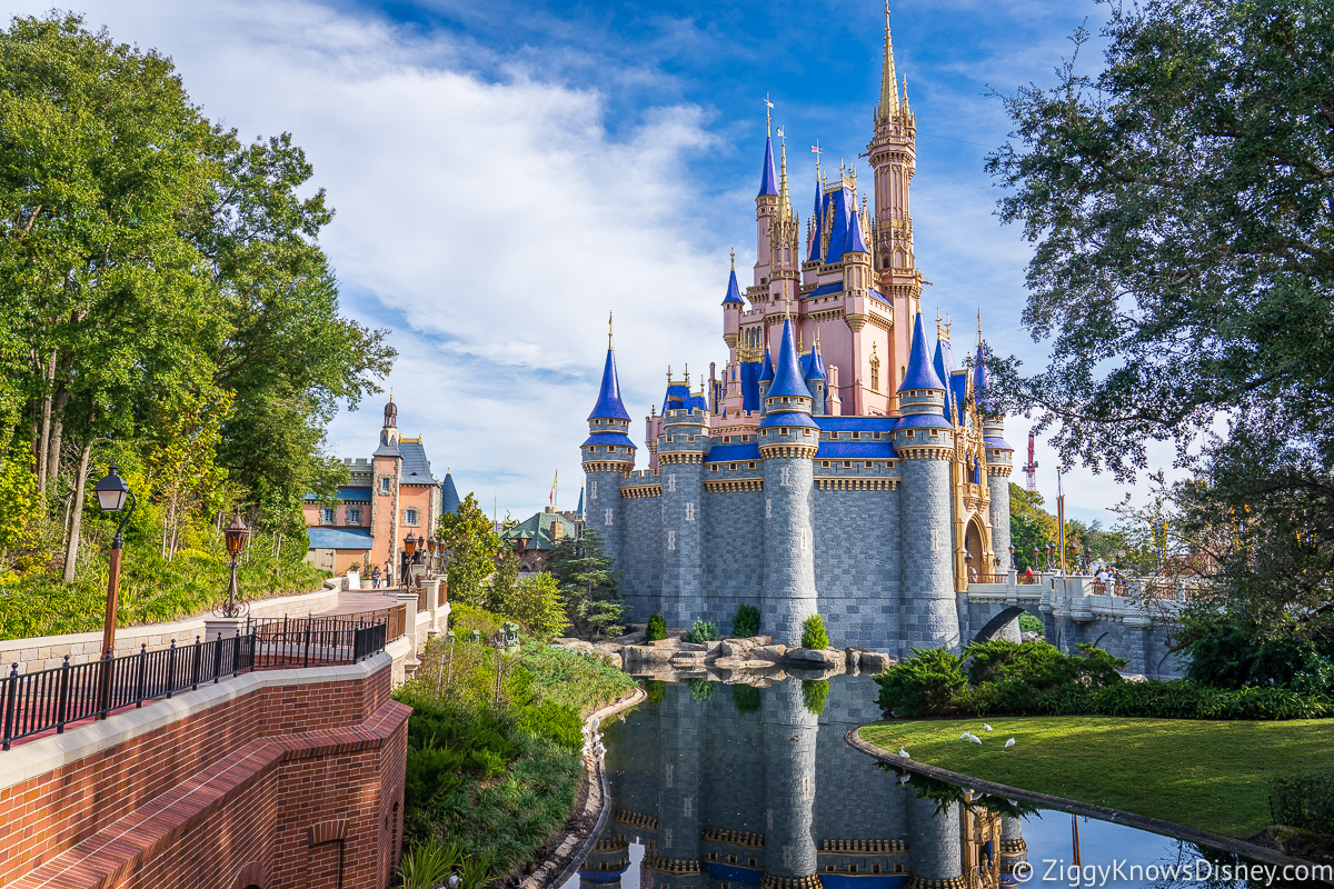 personal tour guide at magic kingdom