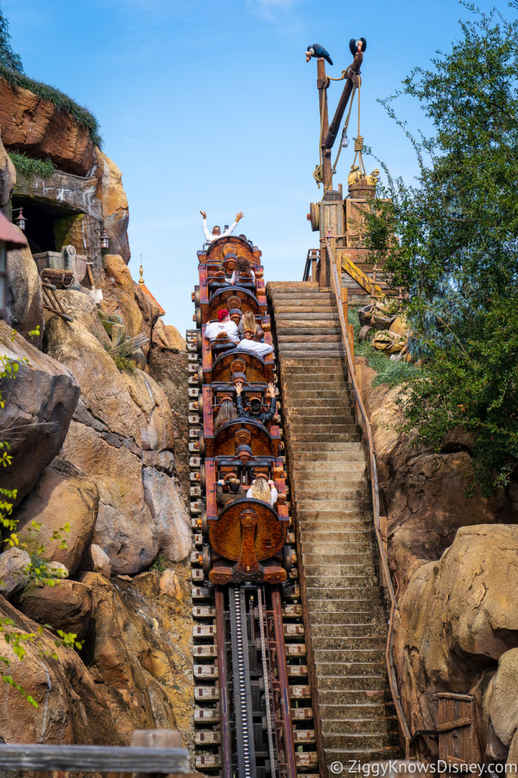 magic kingdom disney world can you bring infants on any rides?