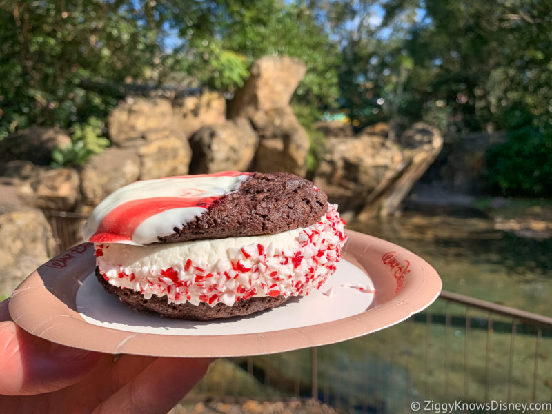 Ice Cream Sandwich Dino-bites Best Snacks at Animal Kingdom