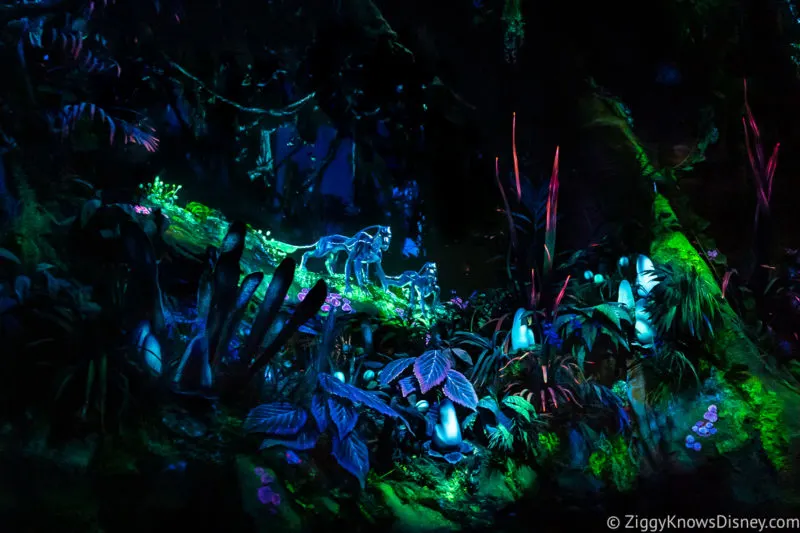 Na’vi River Journey Pandora The World of Avatar