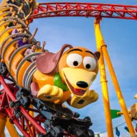 Best Disney World Roller Coasters