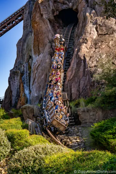 Expedition Everest Disney World Roller Coasters