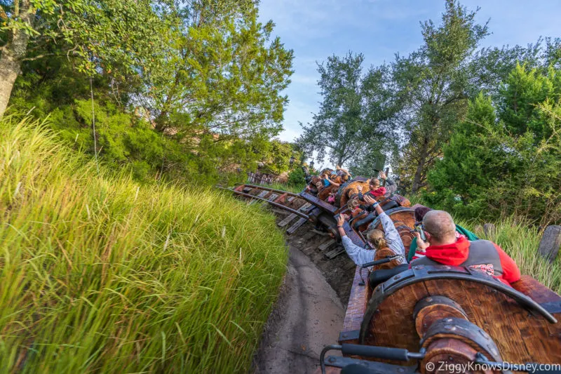 Disney World Roller Coasters Seven Dwarfs