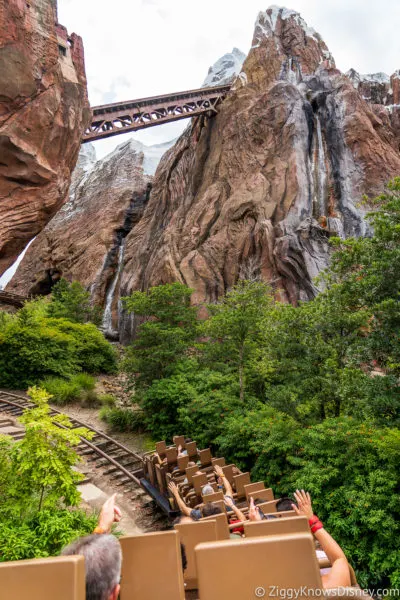 Ranking Disney World Roller Coasters Expedition Everest