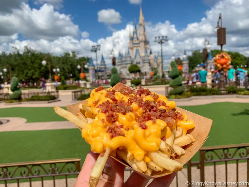 Mac and Cheese Fries at the Magic Kingdom