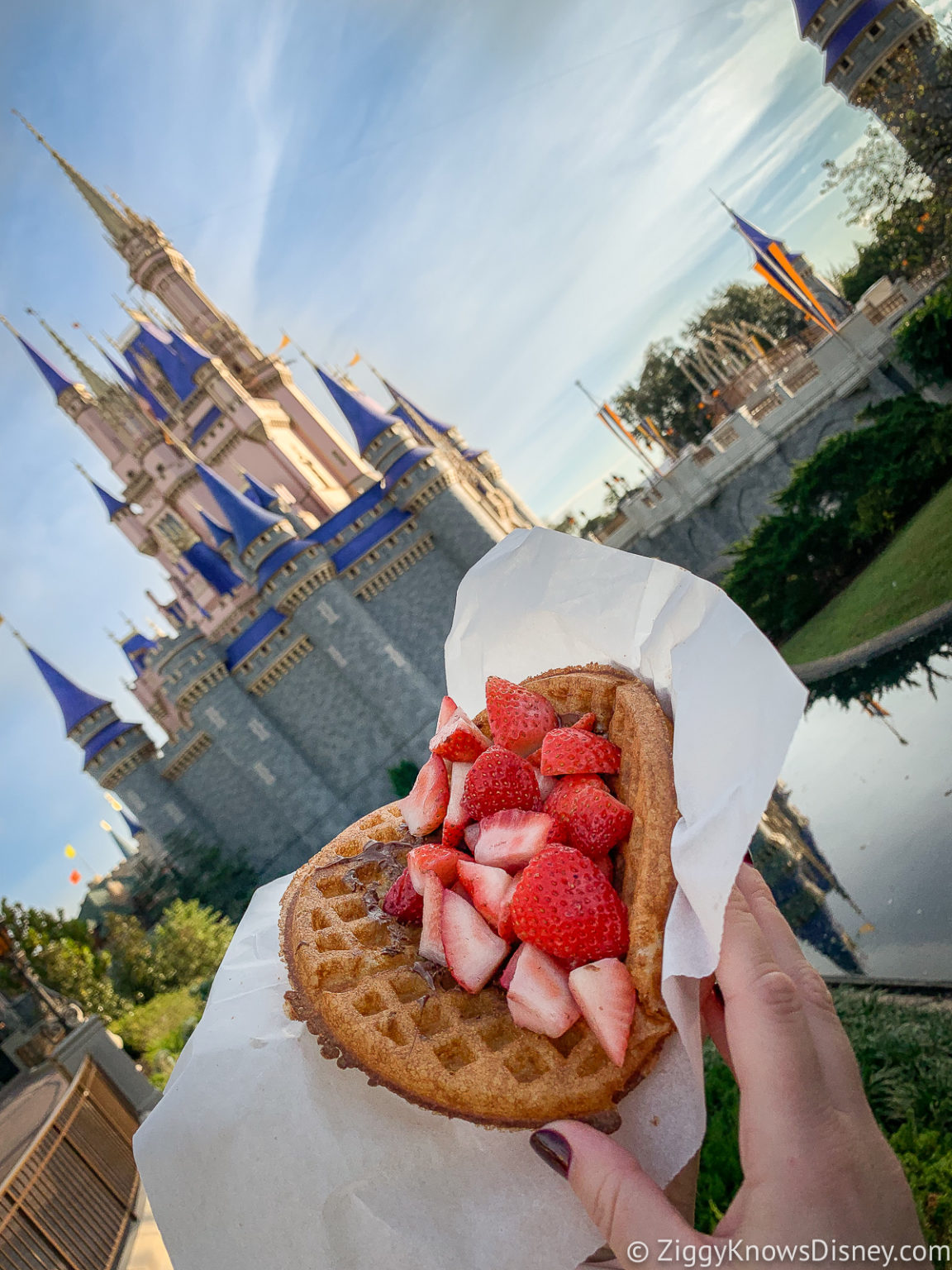 19 Best Magic Kingdom Restaurants Places to Eat in 2021