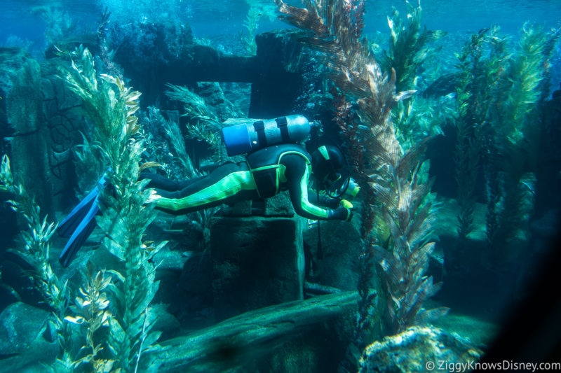 Finding Nemo Submarine Voyage