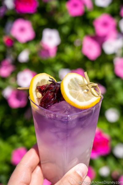 Hibiscus Lemonade Cocktail EPCOT Farmers Feast