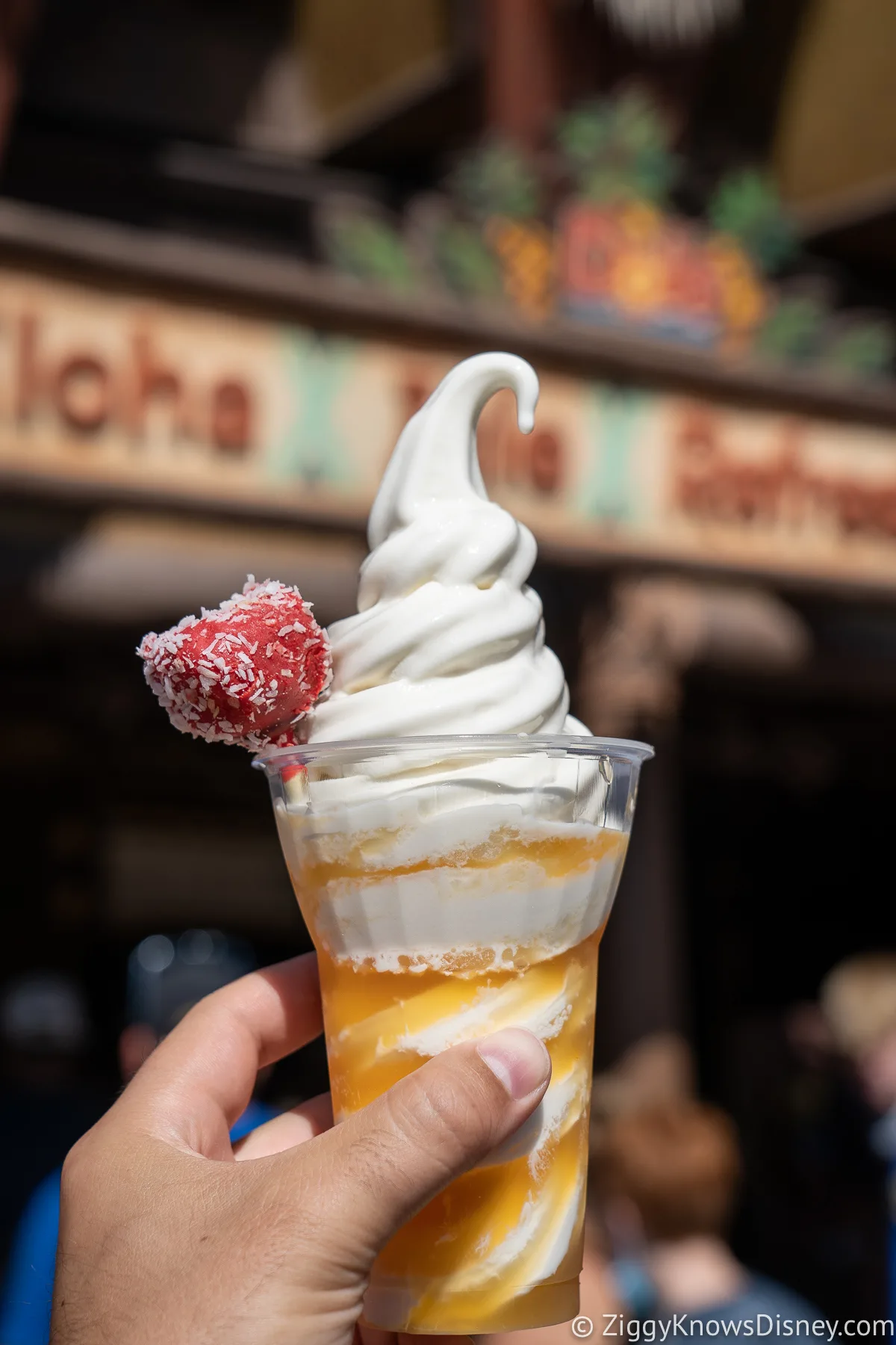 Tropical Serenade Best Snacks at Magic Kingdom