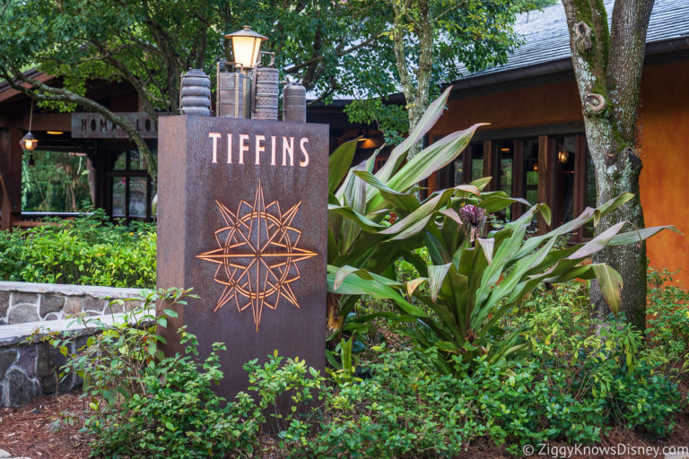 20 Best Animal Kingdom Restaurants Places to Eat in 2024