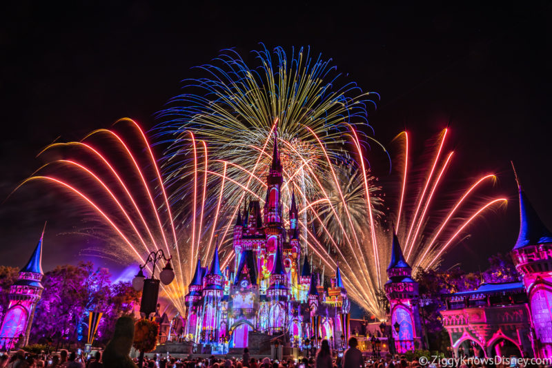 Disney World in July