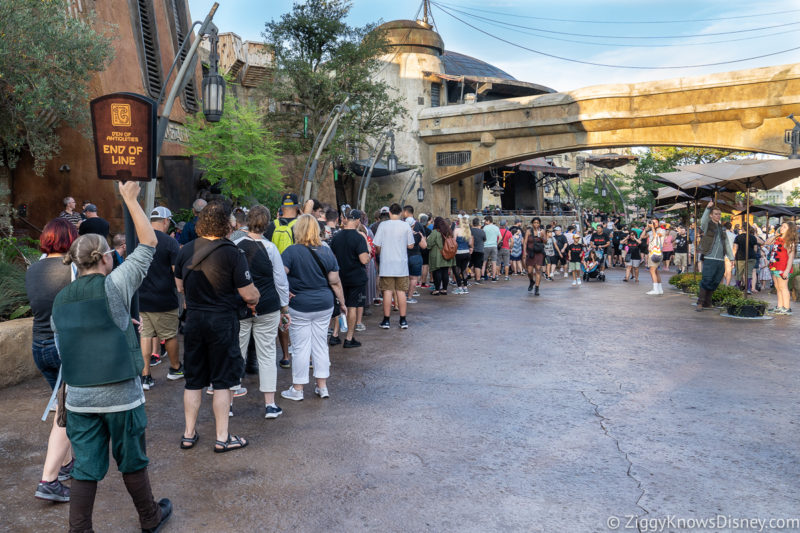 Disney World Crowds in July