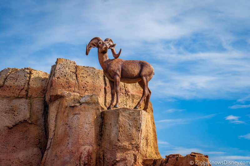 Goat on top of the rocks at Big Thunder Mountain Railroad