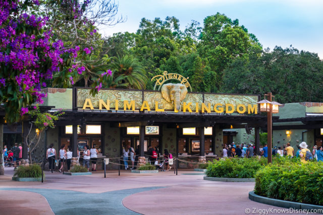 Early Theme Park Entry at Disney World | Guide & Info