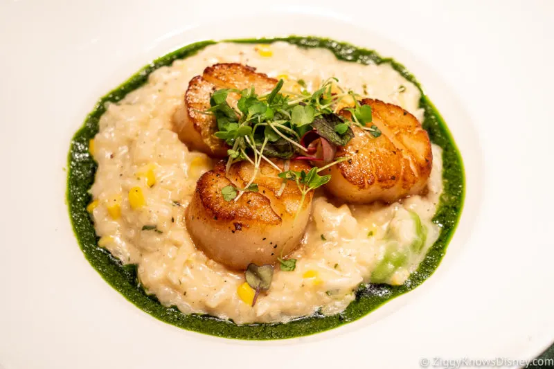 Scallop Risotto at Citricos Restaurant Disney World