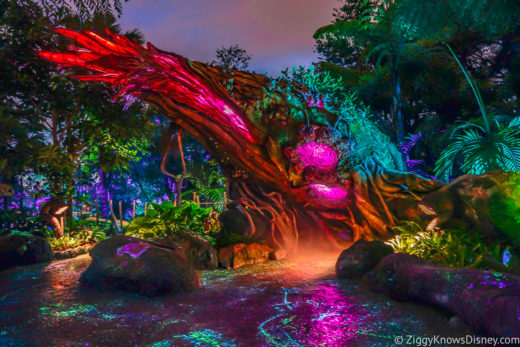 Disney World Extended Evening Hours Guide | Hours, Rides & Info