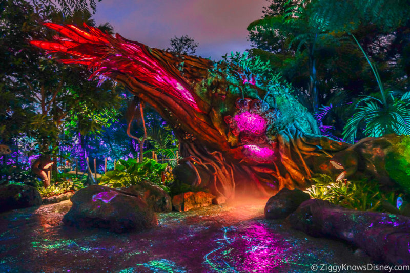Pandora the World of Avatar at night
