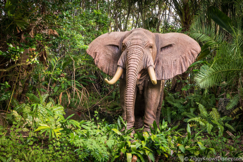 Jungle Cruise elephant