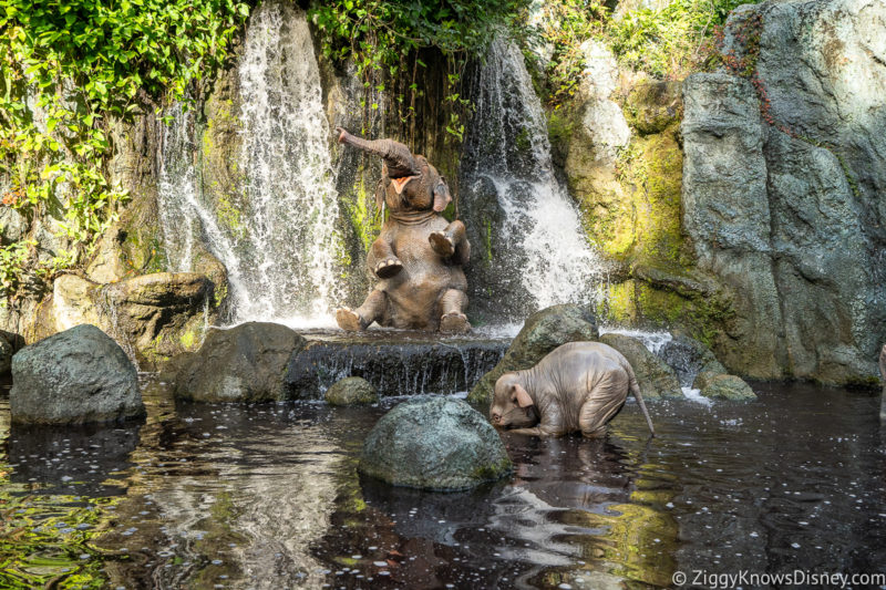 Elephant Scene Jungle Cruise ride Magic Kingdom