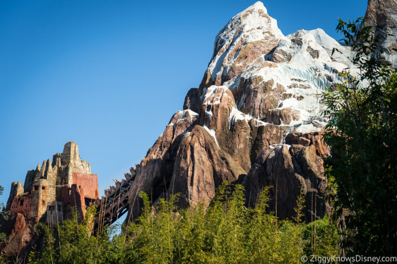 Expedition Everest Disney's Animal Kingdom