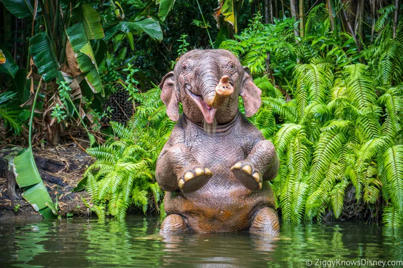 Elephant pool Jungle Cruise Magic Kingdom