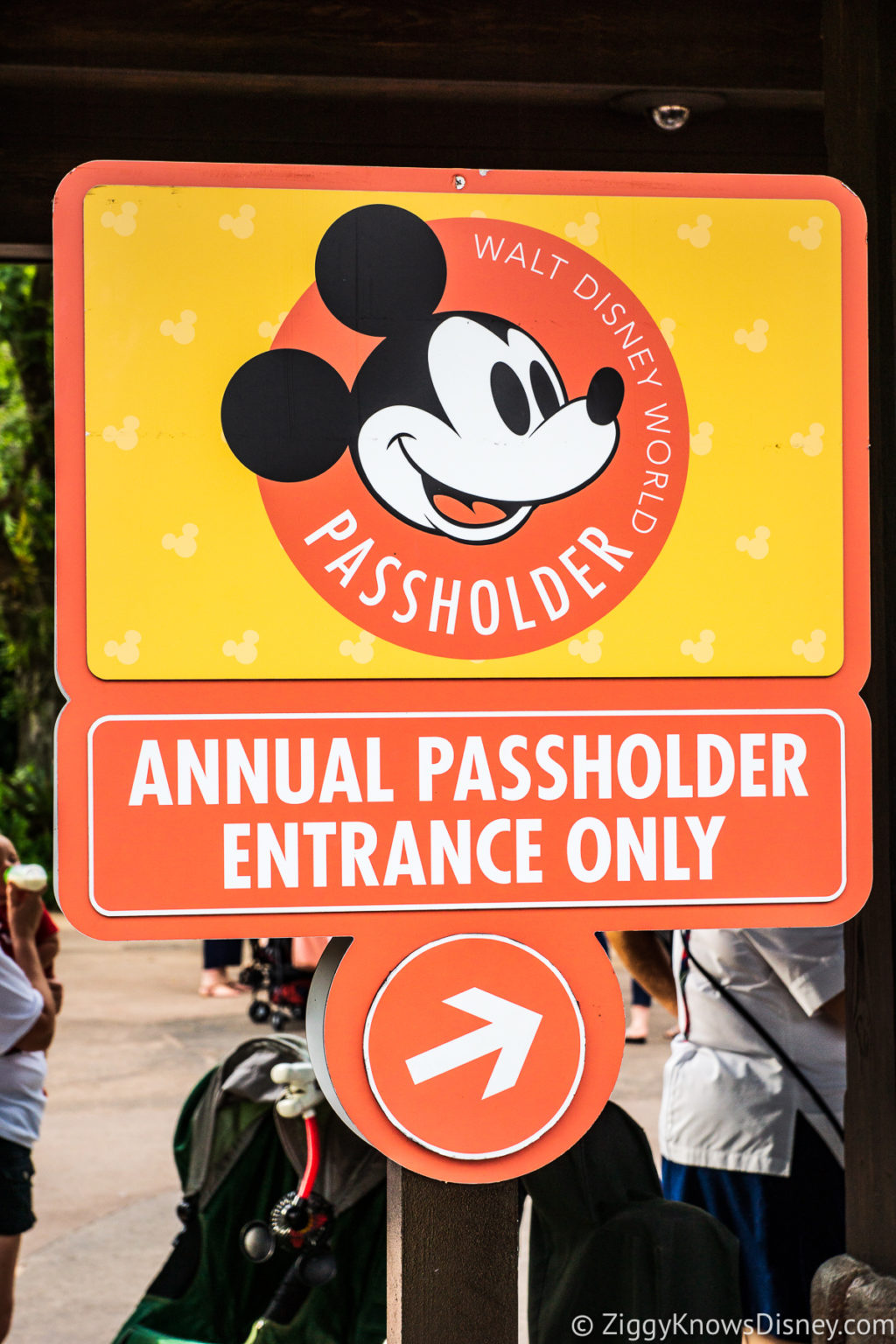 2022-walt-disney-world-annual-passes-guide-prices-faqs