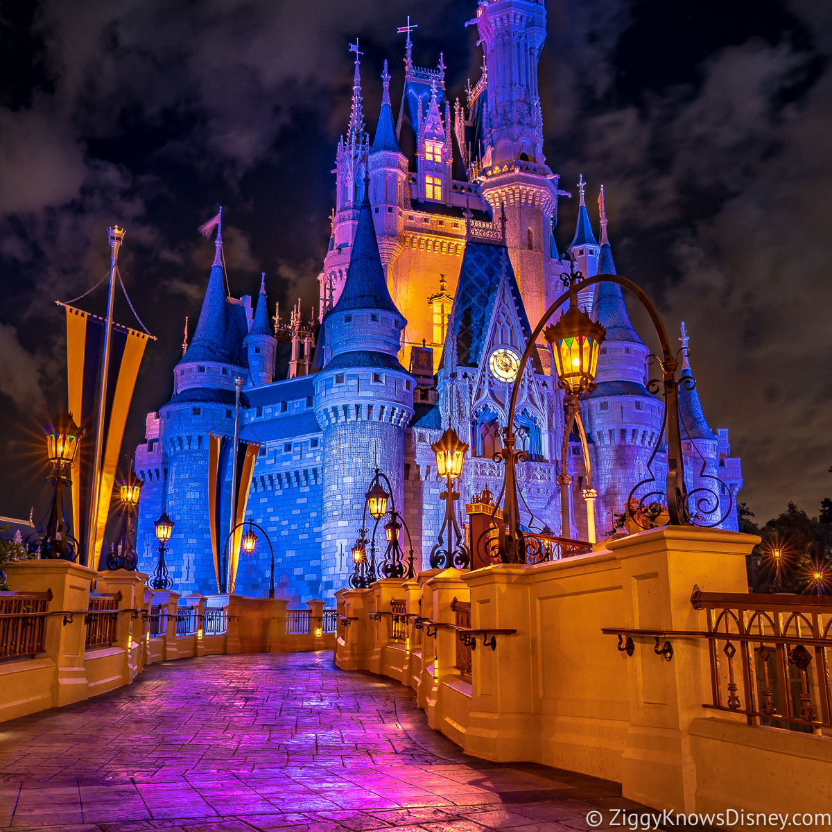 Disney World Annual Passes