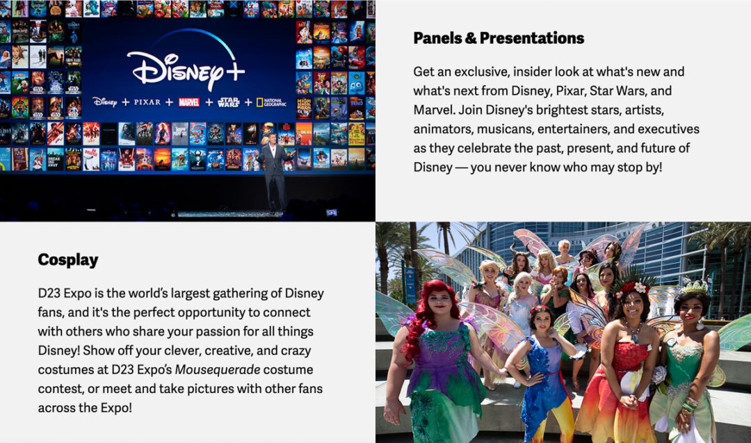 D23 Expo 2024 Ticket Prices Dona Nalani