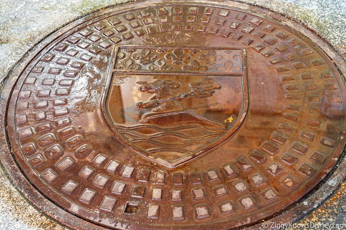 Remy sewer cover