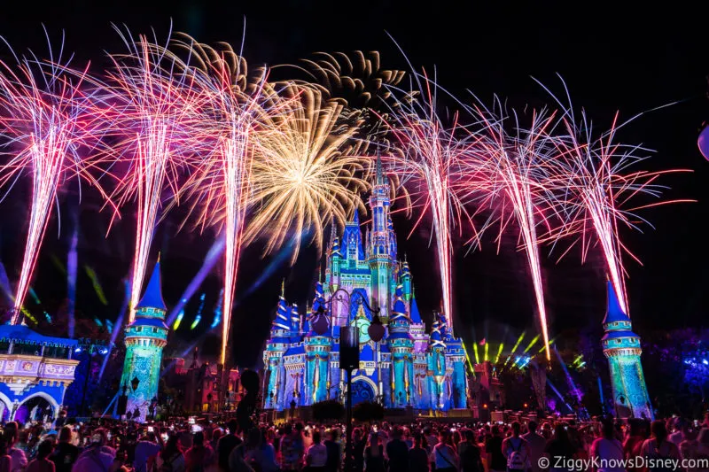 disney castle fireworks