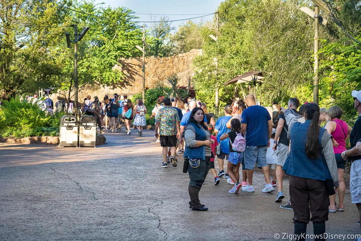 cast members directing traffic in standby line
