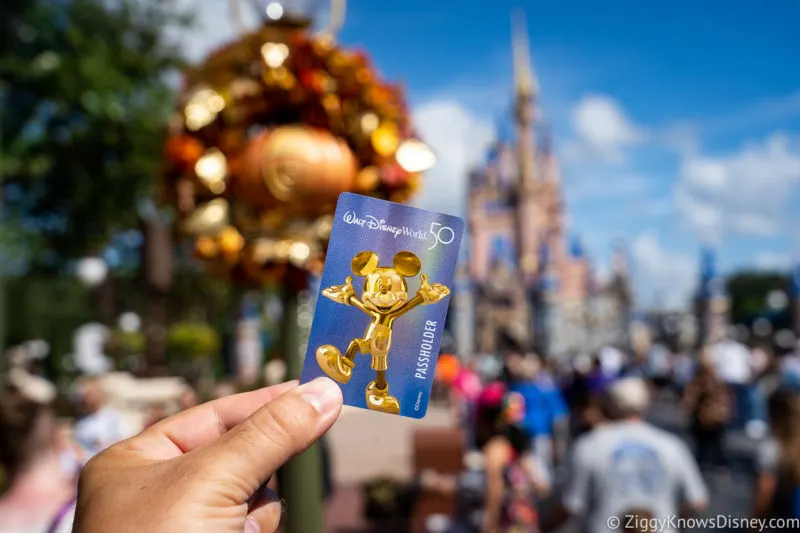 Disney World Annual Pass