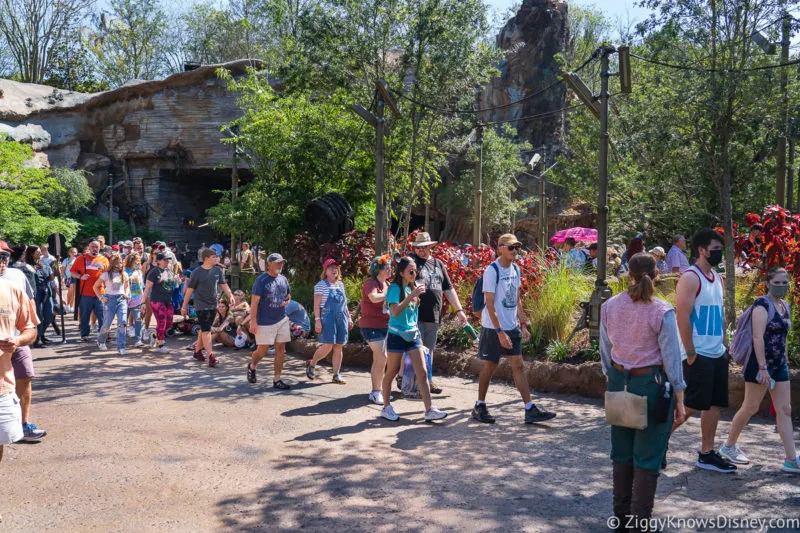 Crowds at Hollywood Studios in Galaxy's Edge