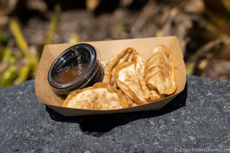 Magic Kingdom Snacks Fried Pot Stickers from Sunshine Tree Terrace